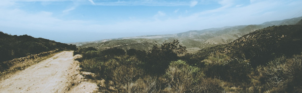 Overcoming Trauma and Immaturity: How the Life Model Can Bring Healing to You and Your Community	