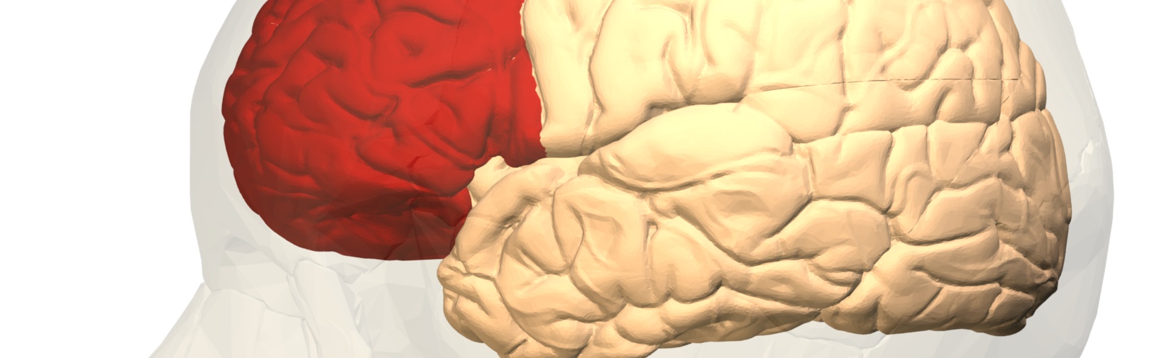This is how your brain activates creativity and helps you live like Jesus