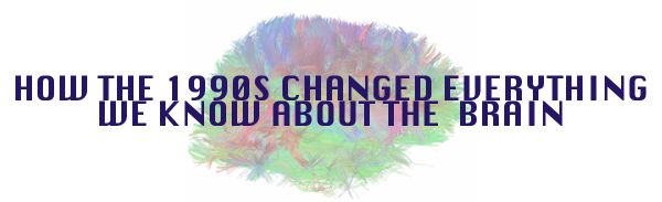 How the 1990s Changed Everything We Know About the Brain