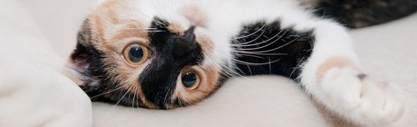 Relaxing Might Be More Important Than You Realize!